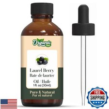 Organic Zing Laurel Berry Laurus nobilis Oil Pure and Natural Essential O
