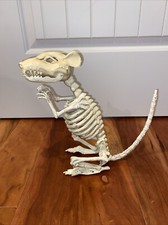 Rat Skeleton Figure Halloween Decoration Prop 11 in. Plastic