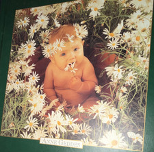 Anne Geddes Unisex Baby Photo Album Scrapbook, Bees Theme, Green Cover