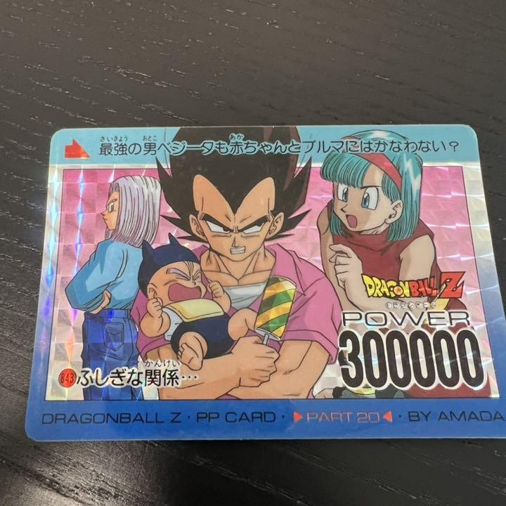 ドラゴンボールZ アマダPPカード 843 ふしぎな関係…