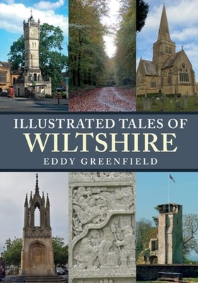 ILLUSTRATED TALES OF WILTSHIRE by Eddy Greenfield Paperback Self Help Business