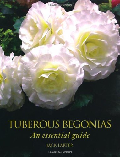 Tuberous Begonias: An Essential Guide-Jack Larter
