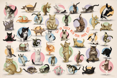 Yoga Cats GET IN TOUCH WITH YOUR INNER KITTY Fitness 41 Poses 24x36 POSTER