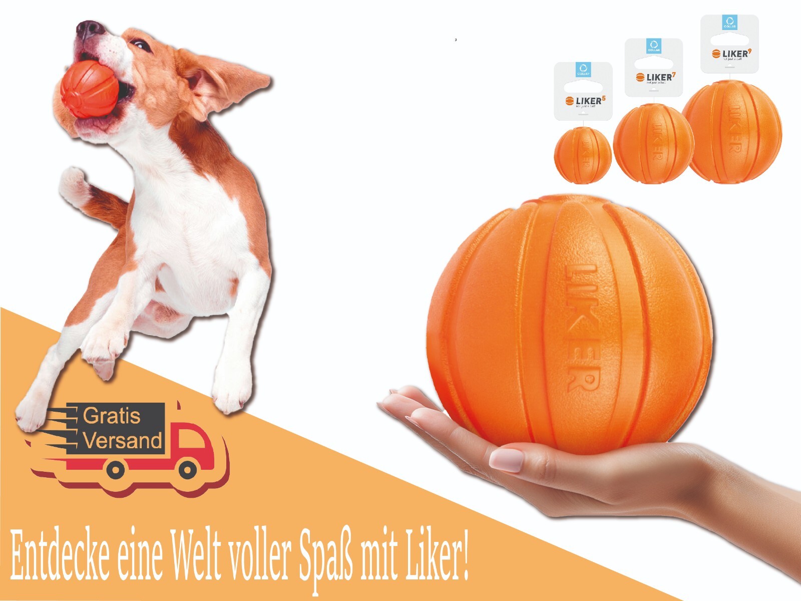 Bild 1 von 37