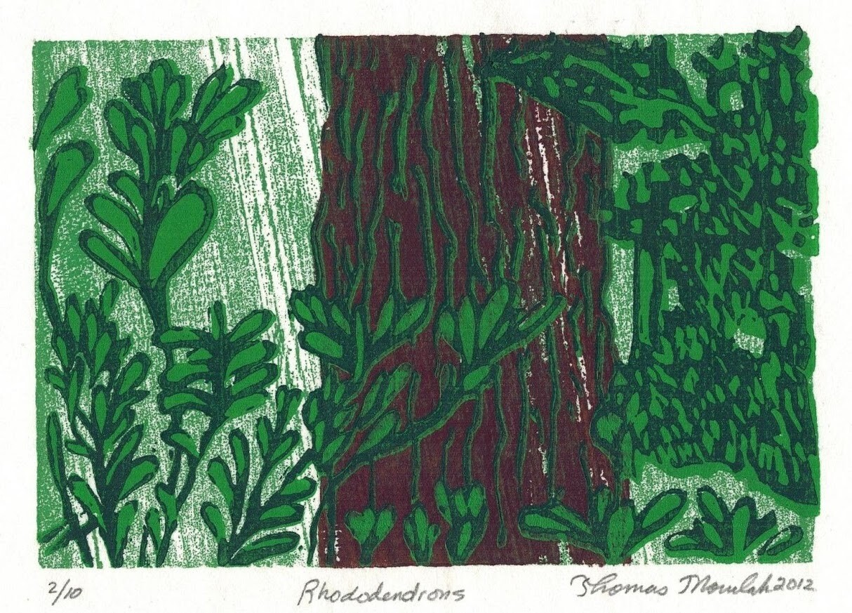 Rhododendrons original 4 color woodcut print