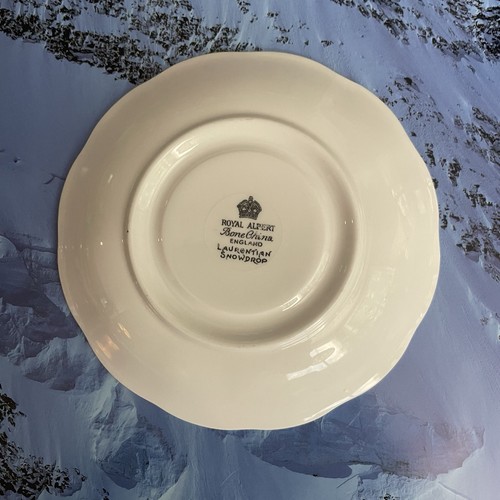 Royal Albert Tea Cup & Saucer Laurentian Snowdrop Pattern Malvern Cup Shape - Picture 6 of 15