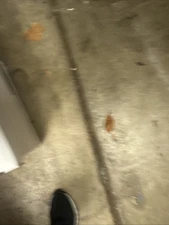 At-A-Glance 80-310-05 4-Person Undated Group Appointment Book