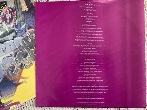 Chicago "19" Vinyl LP 1988 Reprise W1-25714 mit Schrumpf getestet gereinigt top - Bild 4 von 7
