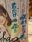 2023 STARDOM Momo Kohgo Autographed Portrait NJPW WWE AEW NXT Toni Storm — photo 3