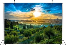 BELECO 5x3ft Fabric Sunset View of Old City Jerusalem Backdrop 5x3FT, A17953
