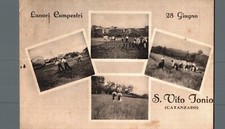 Catanzaro S. Vito Jonio Lavori Campestri views F. small shipped