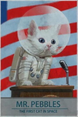 62411 Mr Pebbles The First Cat in Space Funny Wall Decor Print Poster