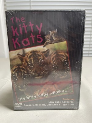 The Kitty Kats Itty Bitty Kiddy Wildlife DVD 2006 Lions Tigers Cougars
