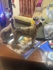 Vintage Antique Hubley? Cast Iron Wire Haired Foz Terrier Dog Figurine HEAVY!