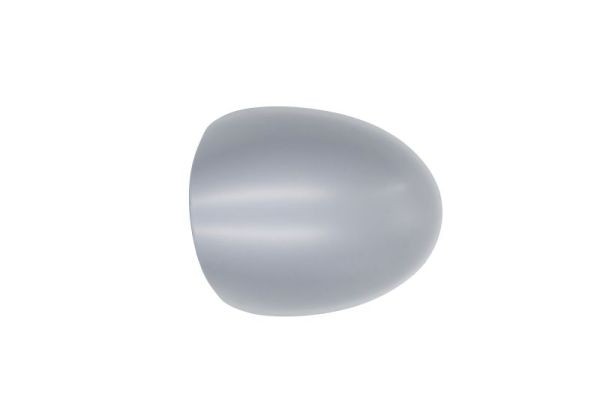 Left BLIC 6103-09-2002217P Housing, exterior mirror for RENAULT