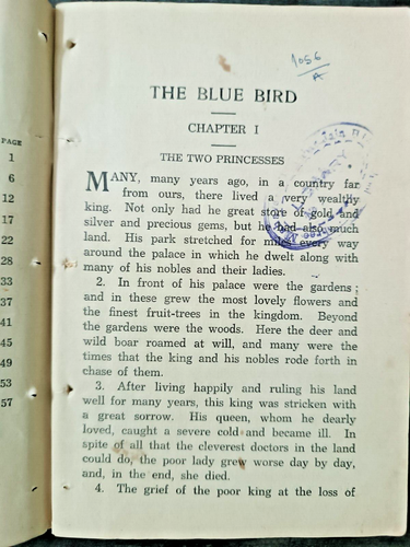 CHILDREN GRADE 3 BOOK: THE A.L BRIGHT STORY READERS THE BLUE BIRD BY MADAME D'AU - Picture 4 of 8