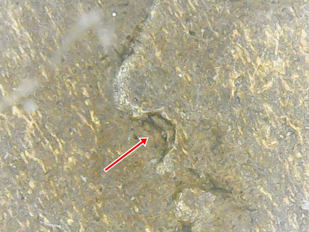 Picture 6 of 8