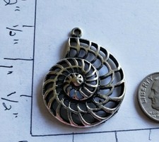 Shell charms ocean sea beach water vacation G