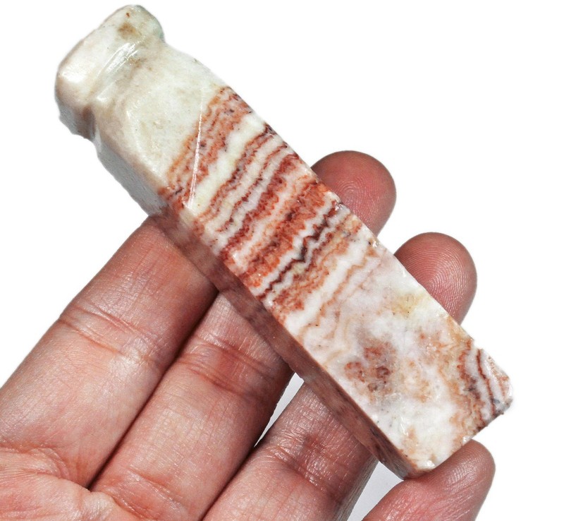 373Ct Natural Polished Pork Stone Meat Rough Specimen YRS747