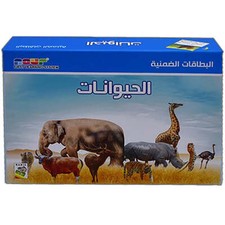 Animals Cards                