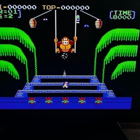 NES Donkey Kong 3