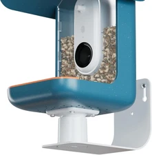 Birdbuddy Wall Mount - Versatile Bird Feeder for Mount, White 