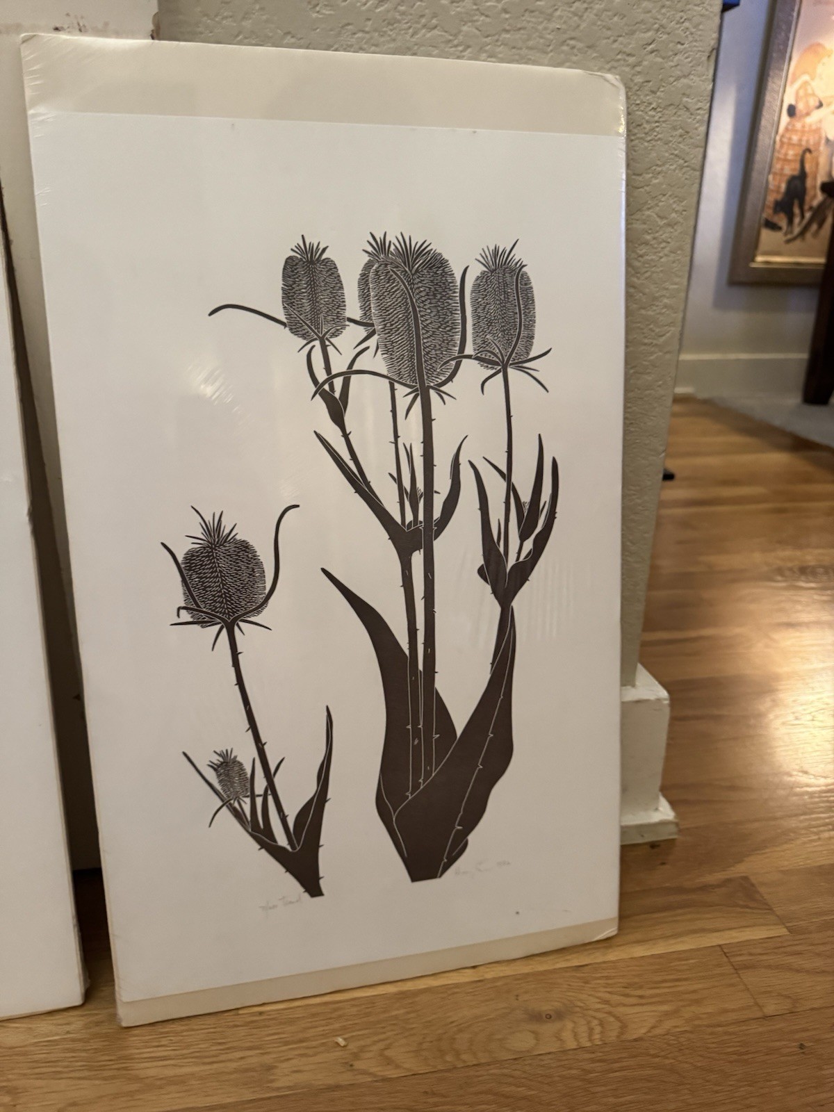 Picture 5 of 9
