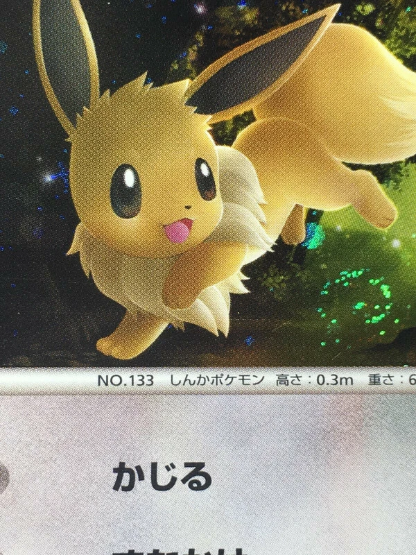 Eevee Pokemon 2009 Holo PtS Shaymin Collection Pack Japanese 011/012 EX - Image 3 of 4