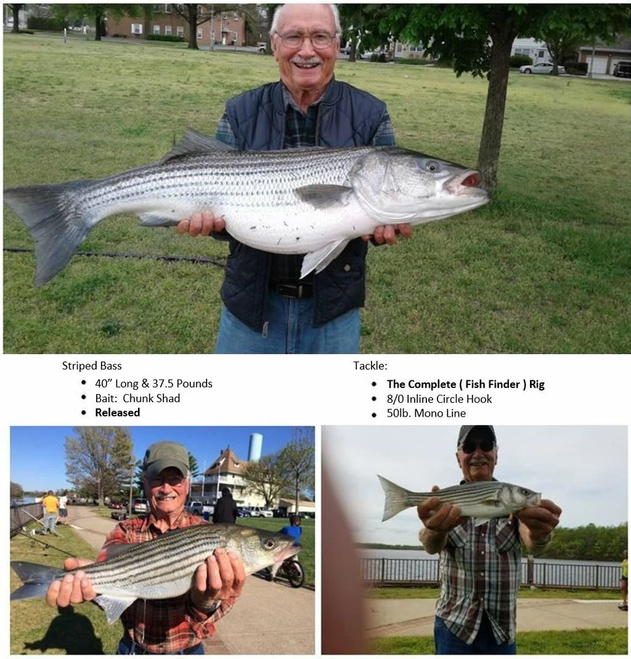 5 Fish Finder Leader ( Circle ) Surf Rigs Striper Striped Bass Catfish Drum Carp - Image 4 of 4