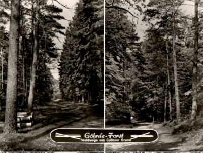 göhrde, forest paths at Collaser Grund, Drawehn, 1979