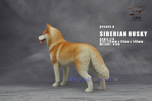 OUT THERE FOREVER 1/6 Modelo Husky Siberiano Animal Perro Coleccionista Decoración Pintado - Imagen 20 de 47