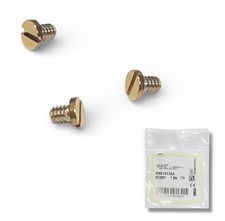 Versace VE 4447 Sunglasses Golden Replacement Temple Tip Side Screws Genuine