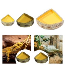 Rettile ciotola dell'acqua Terrario piatto alimentare per tartaruga