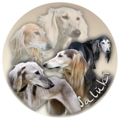 SALUKI Persischer Windhund AUFKLEBER RUND Fensteraufkleber Autoaufkleber #6 - Bild 1 von 2