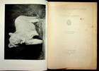 Big Game Lion Hunting African Adventures Frederick B. Patterson Book 1928 — photo 3