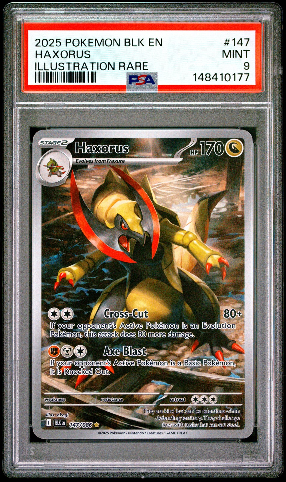 Haxorus #147