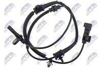 NTY HCA-PL-021
