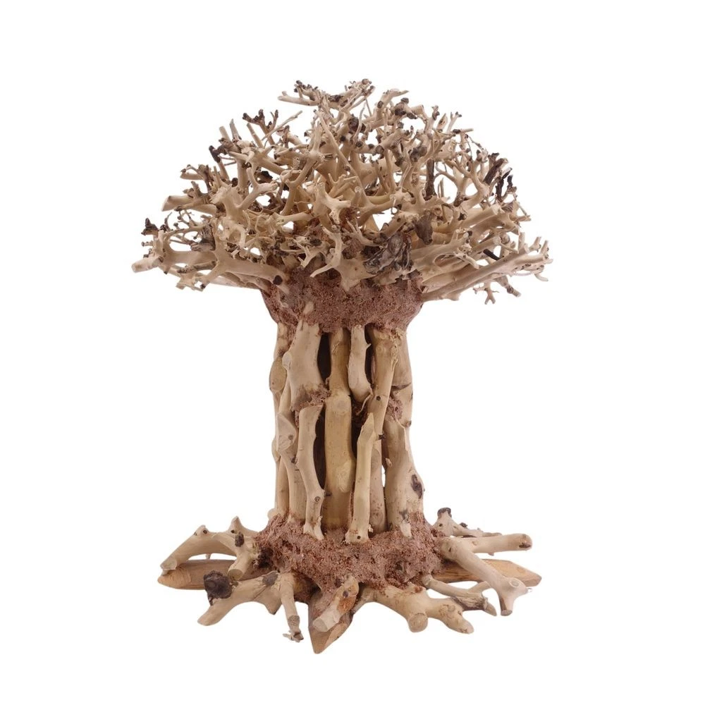 Aquarium Bonsai online kaufen | eBay.de