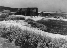 German Fortifications Guns French Coast 1943 New WW2 World War II 8x10 Photo