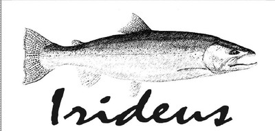 Irideus Timbos Tonic Weich Hackle Wolle Bugger Streamer Fliegen