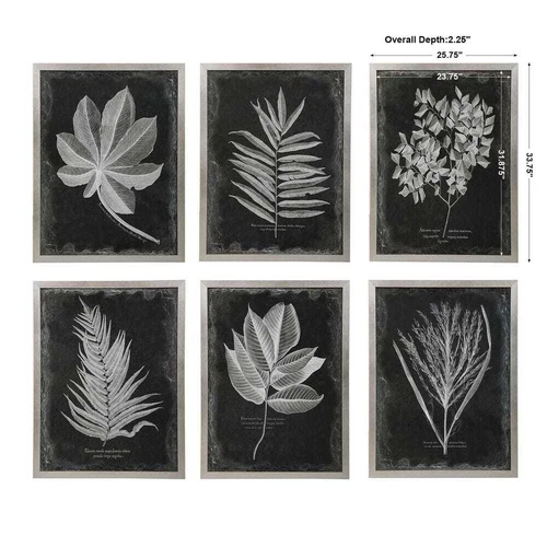 SIX STUNNING HUGE LEAF FOLIAGE PRINTS WALL ART PICTURES UTTERMOST 33671 - Picture 6 of 6