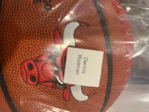 Dennis Rodman Signed Wilson Chicago Bulls Logo NBA Basketball - (SCHWARTZ COA)