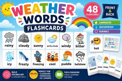 48 Wetter Lernkarten Handarbeit laminiert Kinder Lernkarten ESL Klassenzimmer Set