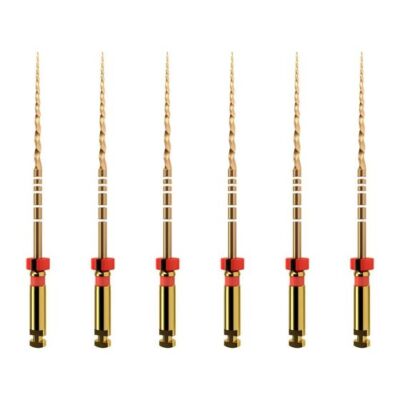 Dentsply PTGRF221 ProTaper Gold Rotary Files 21mm F2 Red 6/Pk