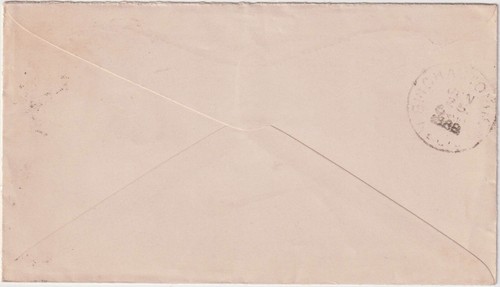 Buffalo NY 1888 duplex cl Purple corner Illust advt cover YMCA (g287) - Picture 2 of 2