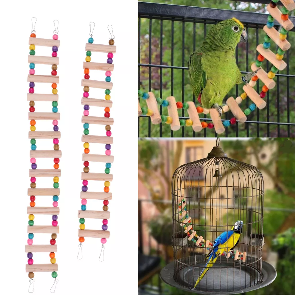 Bird cage 2025 accessories near me