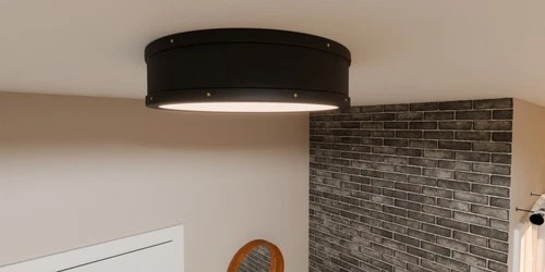 Quoizel QFL5224 Ahoy 16"W Flush Mount Drum Ceiling Fixture - Black - Picture 8 of 9