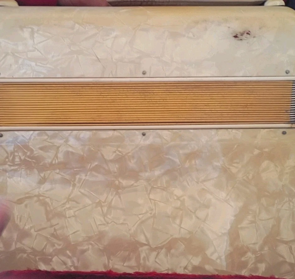 Acordeón Nacional/Noble 120 Botones Bajo 41 Teclas Marfil Acabado Perla Alemania Foto 4 de 4