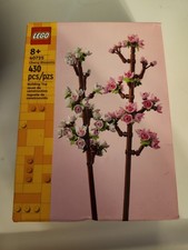 Cherry Blossoms