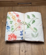 Pottery Barn Kids  Heritage Rainbow Wholecloth Sham ~ Standard